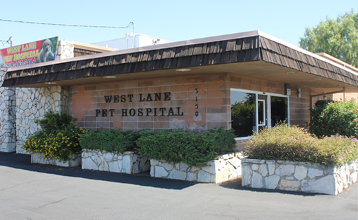 West Lane Pet Hospital - Veterinarian in Stockton, CA US
